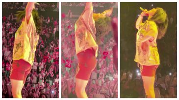 Billie Eilish Leaked